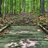 Review photo of Blackwoods Campground — Acadia National Park by Erik C., June 11, 2024