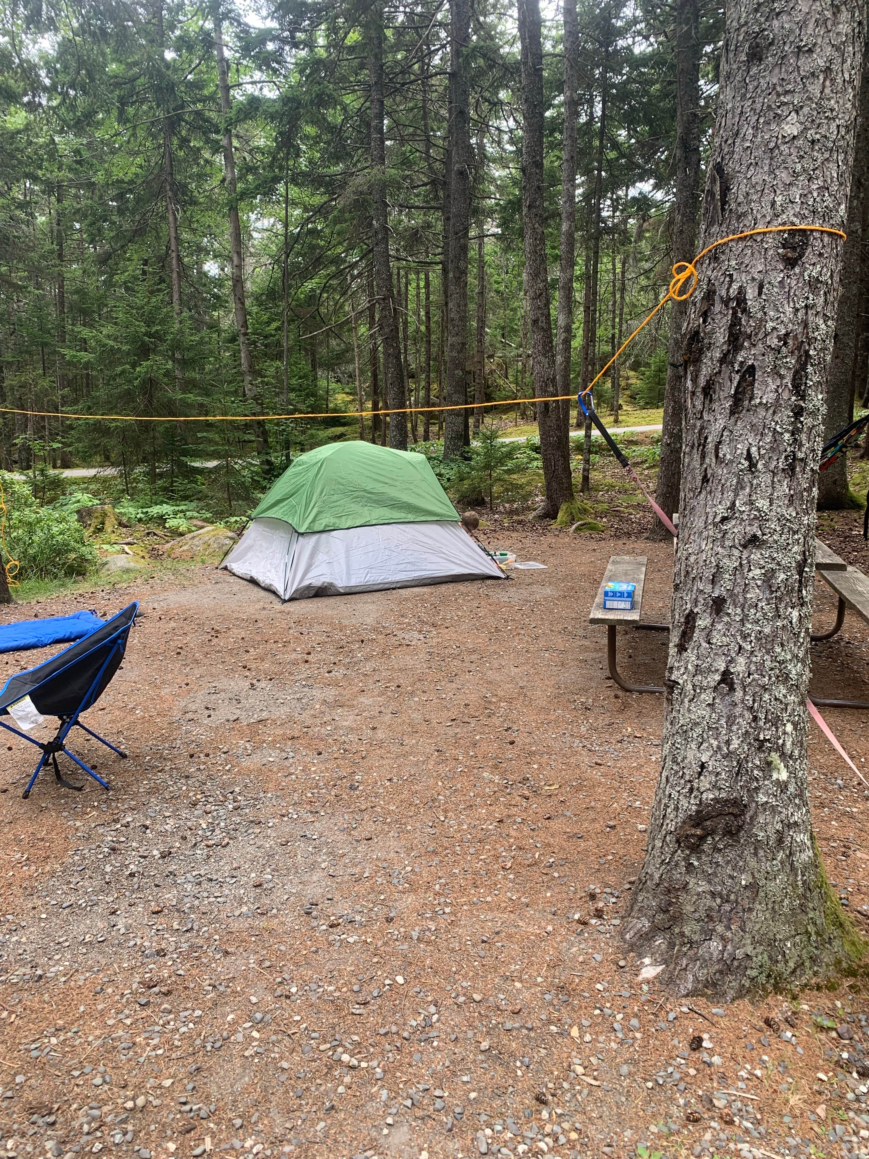 Dana S.'s photo at Blackwoods Campground — Acadia National Park near Bar Harbor, ME