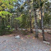 Review photo of Blackwoods Campground — Acadia National Park by Aly E., September 30, 2025