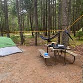 Review photo of Blackwoods Campground — Acadia National Park by Dana S., July 28, 2025