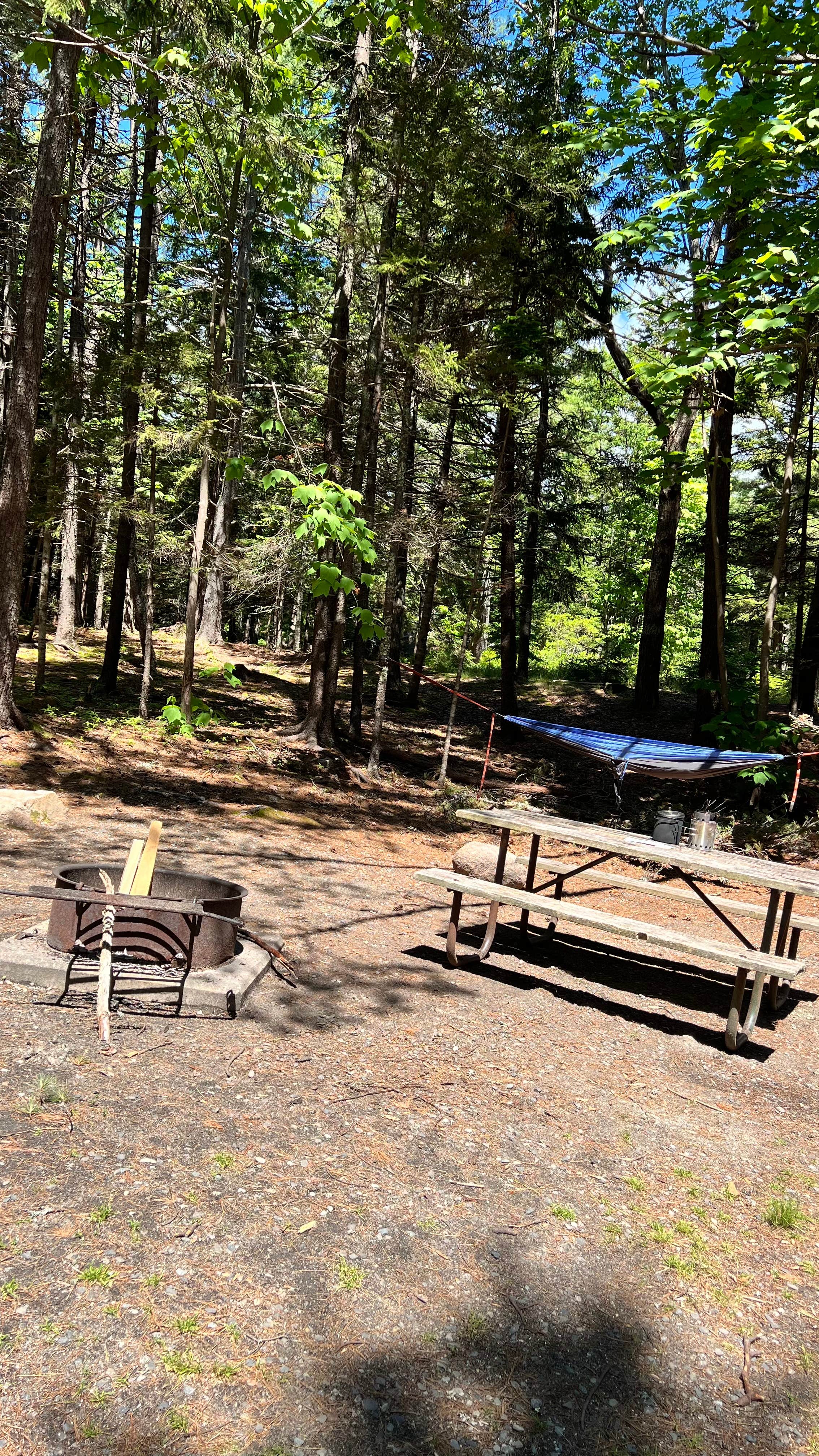 Erik C.'s photo at Blackwoods Campground — Acadia National Park near Southwest Harbor, ME