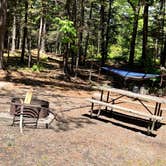 Review photo of Blackwoods Campground — Acadia National Park by Erik C., June 11, 2024