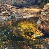 Review photo of Blackwoods Campground — Acadia National Park by Erik C., June 11, 2024