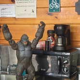Review photo of Bradbury Mountain State Park Campground by Frances C., October 6, 2026