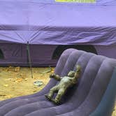Review photo of Bradbury Mountain State Park Campground by Frances C., October 6, 2026