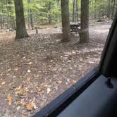 Review photo of Bradbury Mountain State Park Campground by Frances C., October 6, 2026