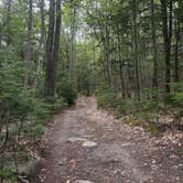 Review photo of Bradbury Mountain State Park Campground by susan F., July 26, 2026