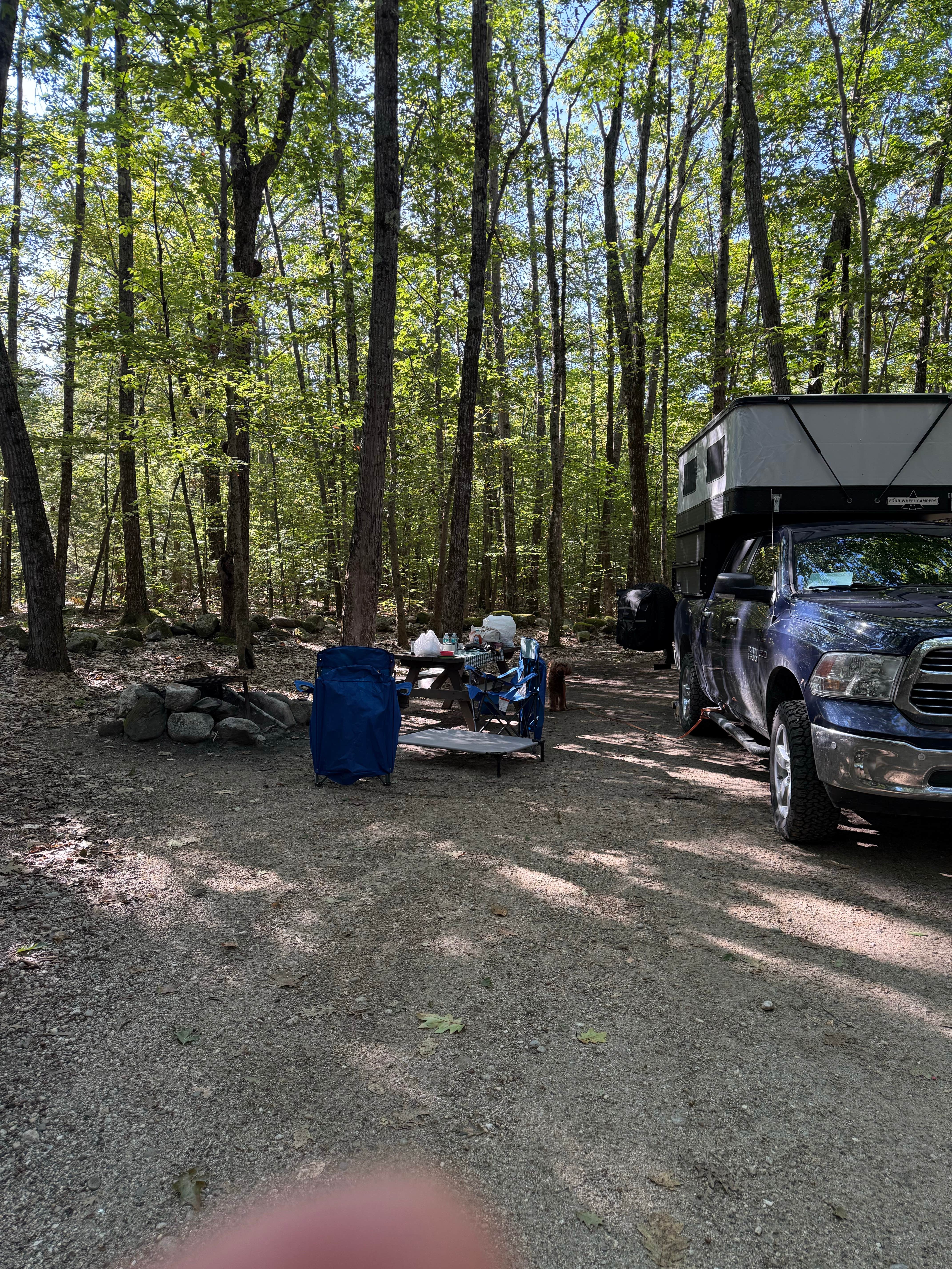 alicianlv's photo of camping with pets at Bradbury Mountain State Park Campground near Portland, ME