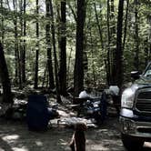 Review photo of Bradbury Mountain State Park Campground by alicianlv , September 9, 2025