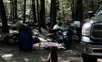 alicianlv's photo of camping with pets at Bradbury Mountain State Park Campground near Scarborough, ME