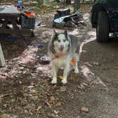 Review photo of Bradbury Mountain State Park Campground by Frances C., October 6, 2026
