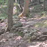 Review photo of Bradbury Mountain State Park Campground by Jessica D., June 9, 2025