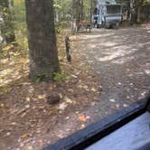 Review photo of Bradbury Mountain State Park Campground by Frances C., October 6, 2026