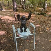 Review photo of Bradbury Mountain State Park Campground by Frances C., October 6, 2026