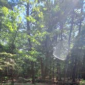 Review photo of Bradbury Mountain State Park Campground by Jessica D., June 9, 2025