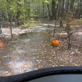 Review photo of Bradbury Mountain State Park Campground by Frances C., October 6, 2026