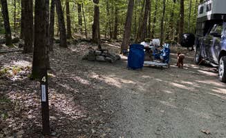alicianlv's photo of camping with pets at Bradbury Mountain State Park Campground near Isle of Springs, ME