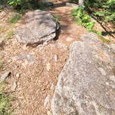Review photo of Bradbury Mountain State Park Campground by Jessica D., June 9, 2025