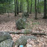 Review photo of Bradbury Mountain State Park Campground by susan F., July 26, 2026
