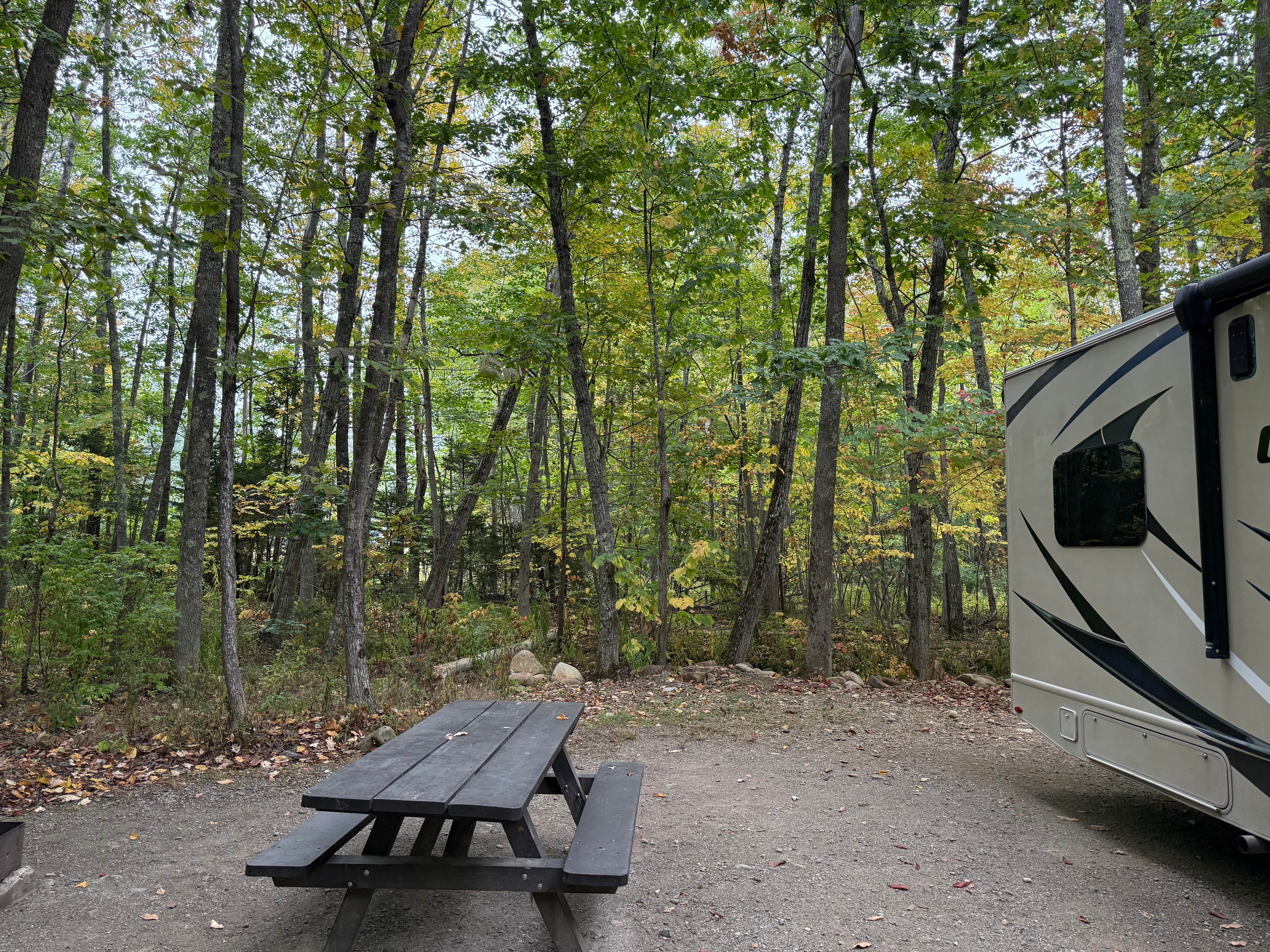 Shawn's photo of rv camping at Camden Hills State Park Campground near St. George, ME
