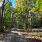 Review photo of Camden Hills State Park Campground by Meghan B., October 10, 2024