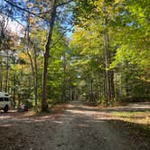 Review photo of Camden Hills State Park Campground by Meghan B., October 10, 2024