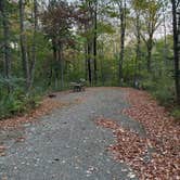 Review photo of Camden Hills State Park Campground by Missy R., October 8, 2025