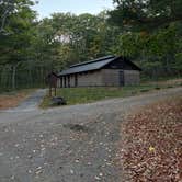 Review photo of Camden Hills State Park Campground by Missy R., October 8, 2025