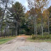 Review photo of Lamoine State Park Campground by Meghan B., October 8, 2024