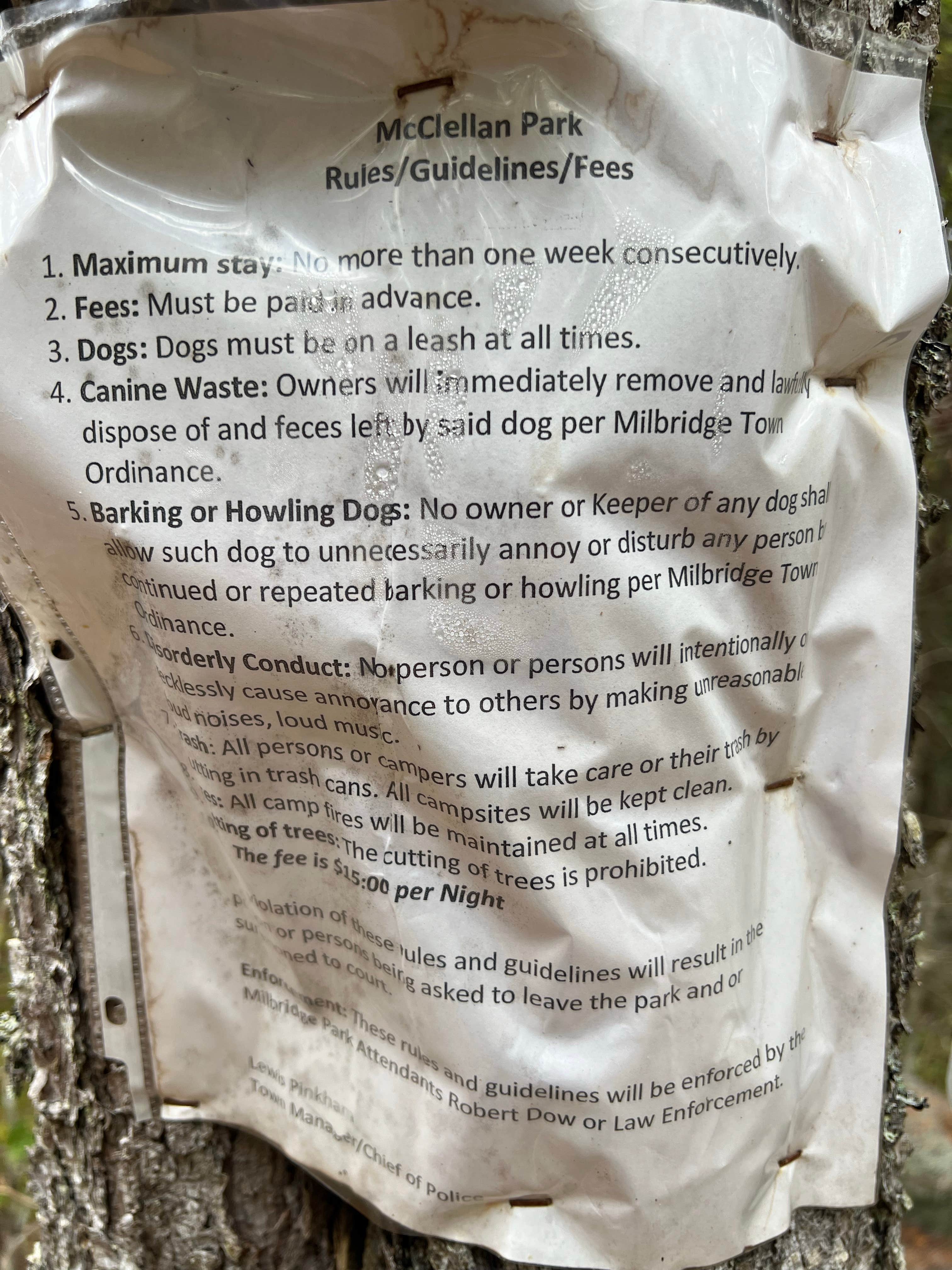 Camper-submitted photo at McClellan Park near Georgetown, ME