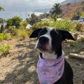 Review photo of Malibu Beach RV Park by Kate , September 21, 2024