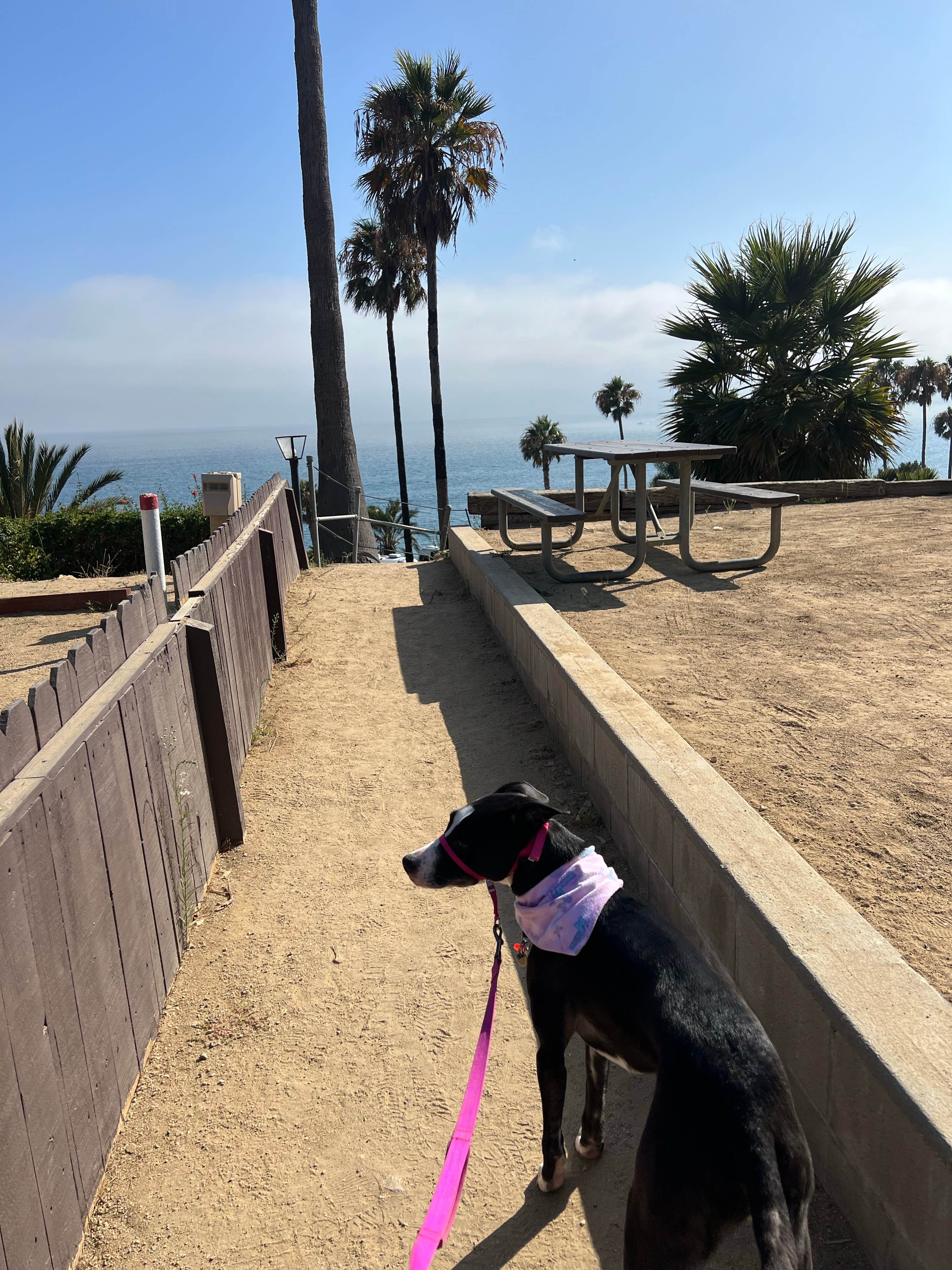 Kate's photo of camping with pets at Malibu Beach RV Park near Los Angeles, CA
