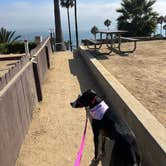 Review photo of Malibu Beach RV Park by Kate , September 21, 2024