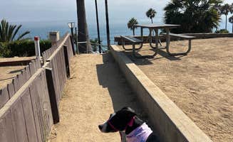 Kate's photo of camping with pets at Malibu Beach RV Park near Santa Monica, CA