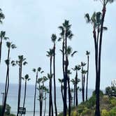 Review photo of Malibu Beach RV Park by Abby T., November 15, 2025