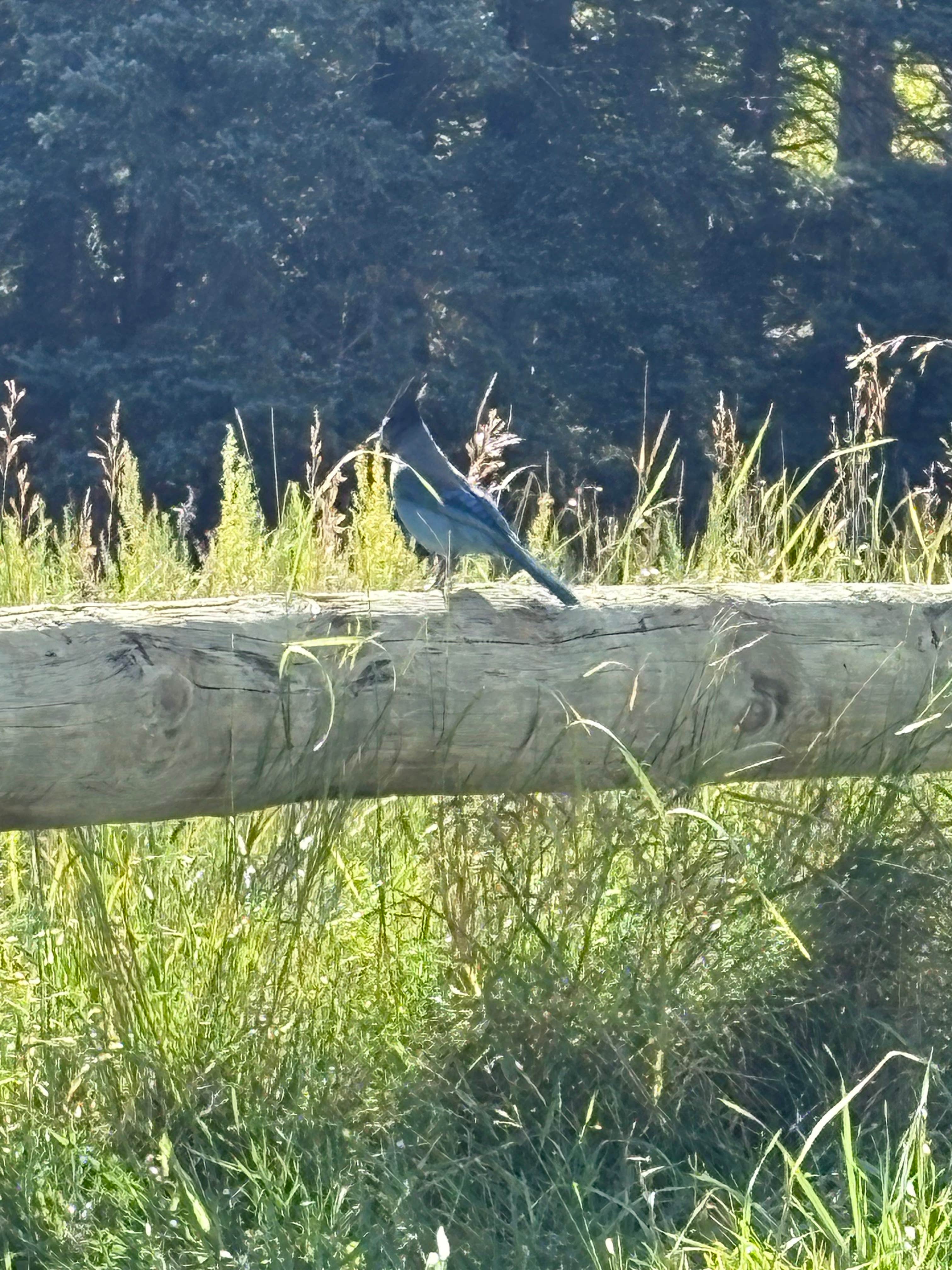 Camper-submitted photo at Mallette Creek North near Arroyo Seco, NM