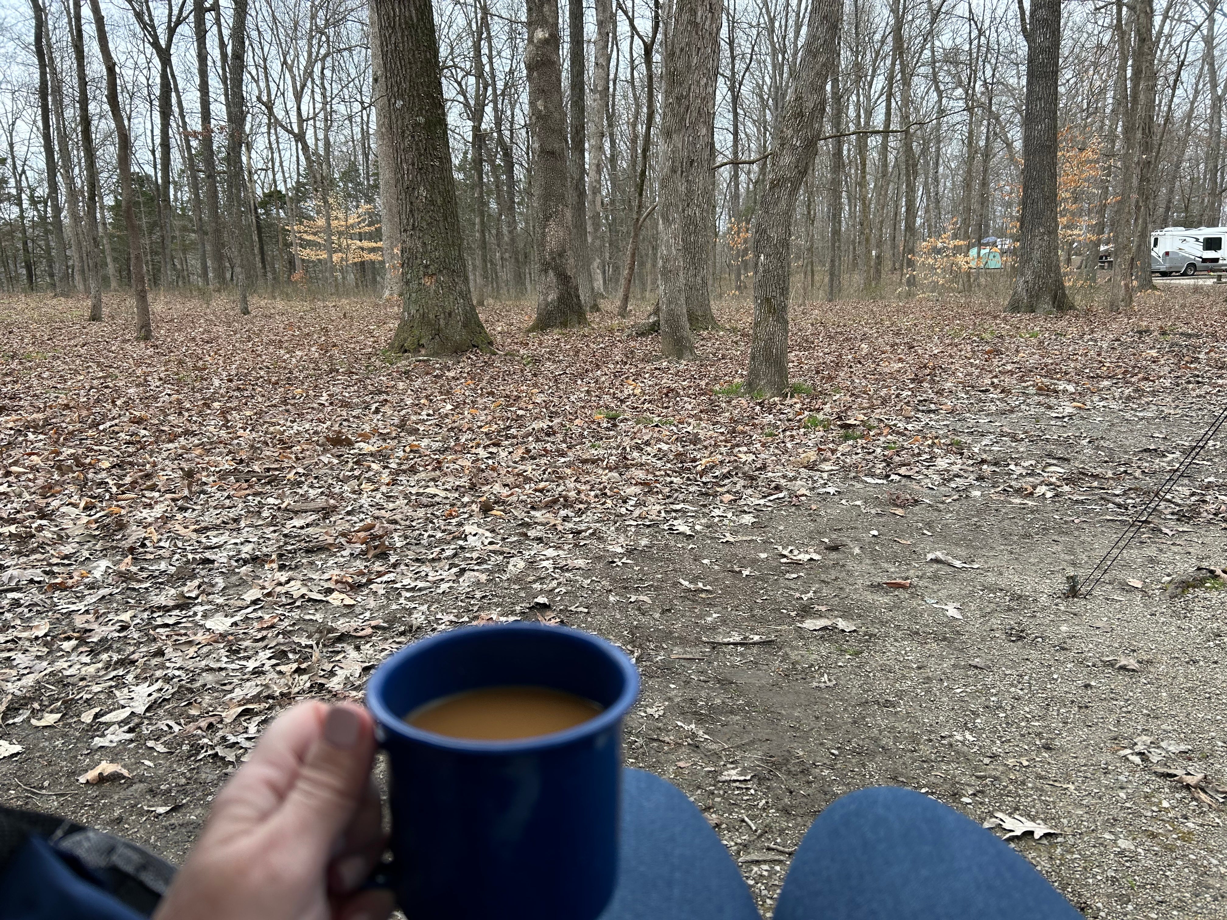 Camper submitted image from Mammoth Cave Campground — Mammoth Cave National Park - 5