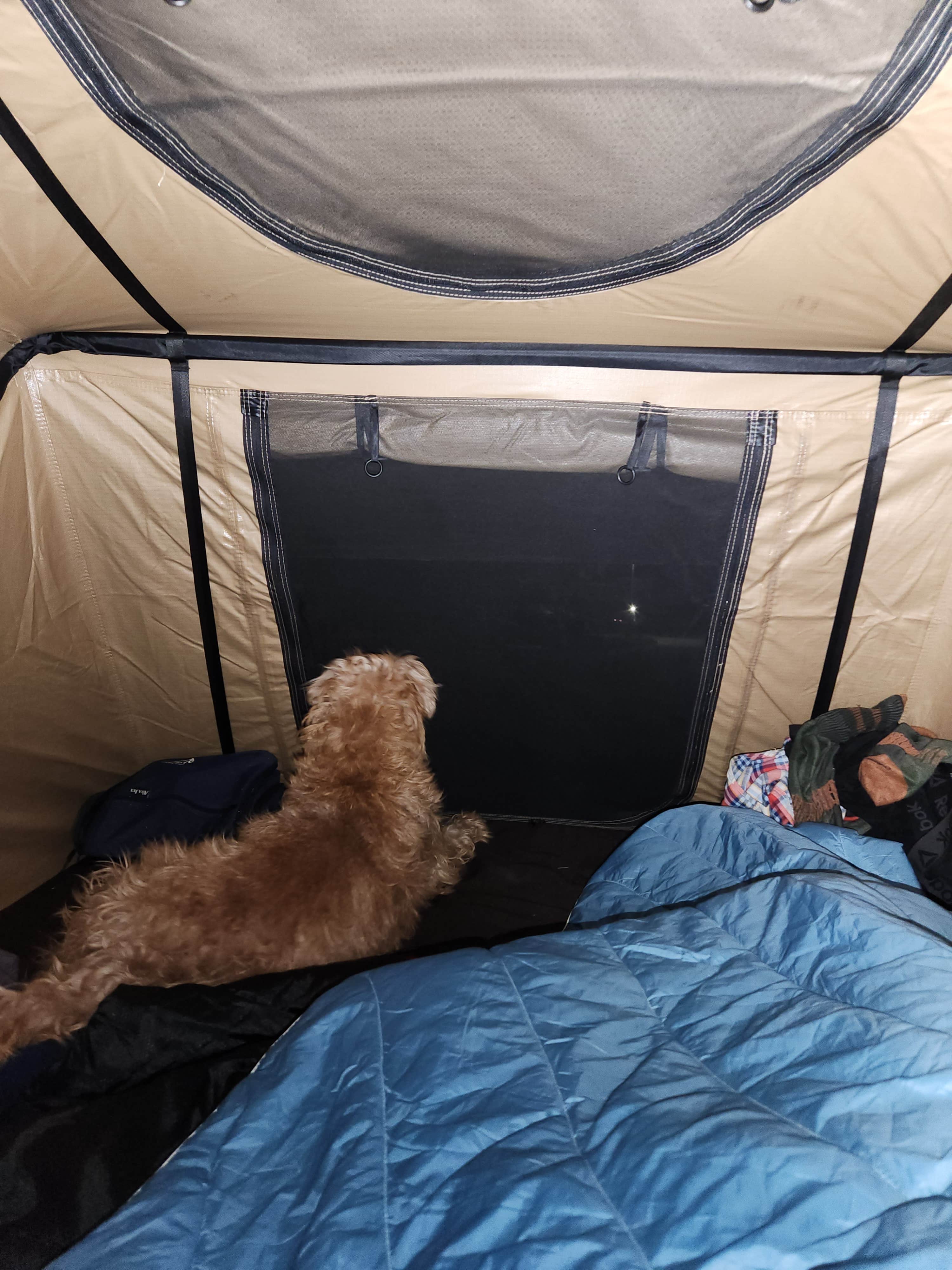 Dane J.'s photo of glamping accommodations at Mammoth Cave Campground — Mammoth Cave National Park near Westmoreland, TN