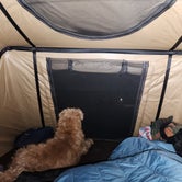 Review photo of Mammoth Cave Campground — Mammoth Cave National Park by Dane J., October 15, 2023