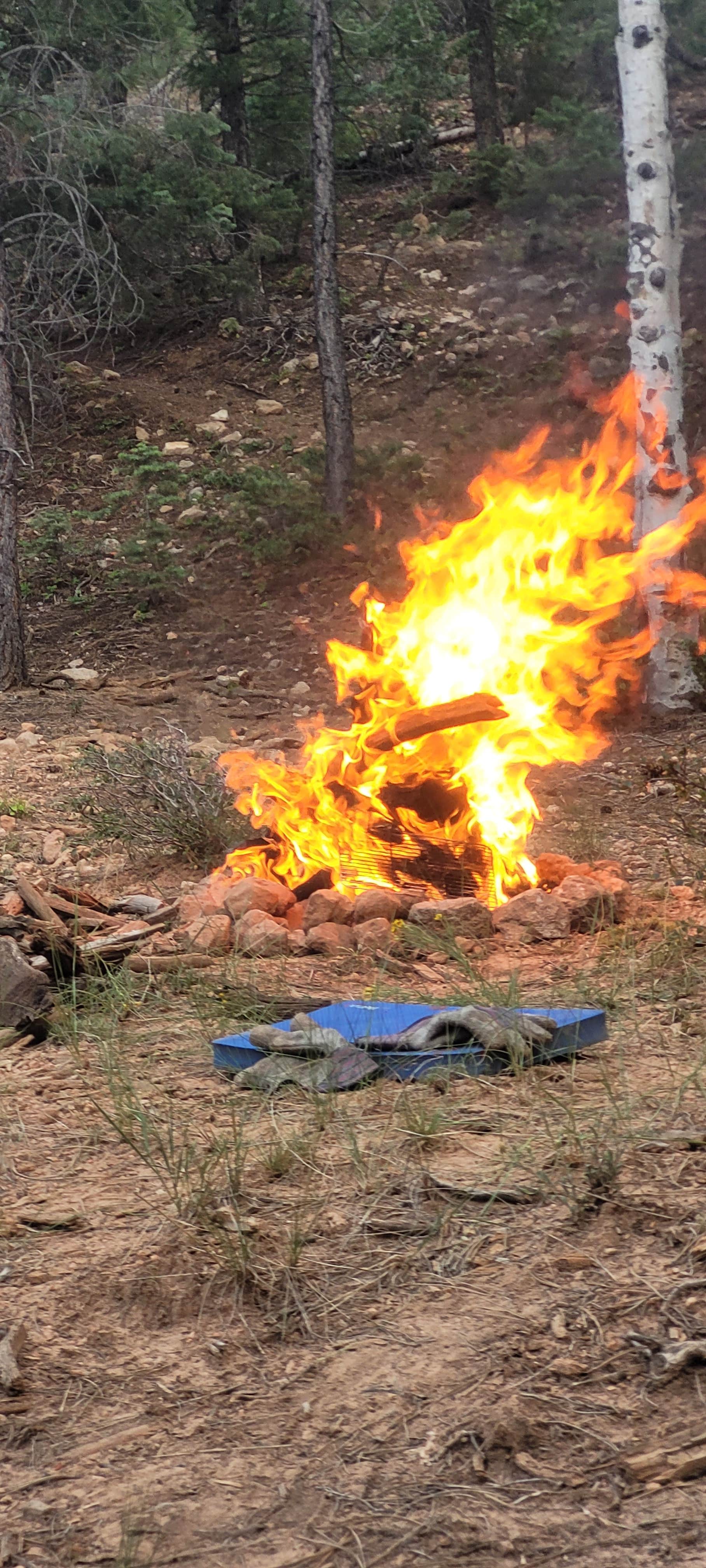 Camper-submitted photo at Mammoth Dispersed near Duck Creek Village, UT