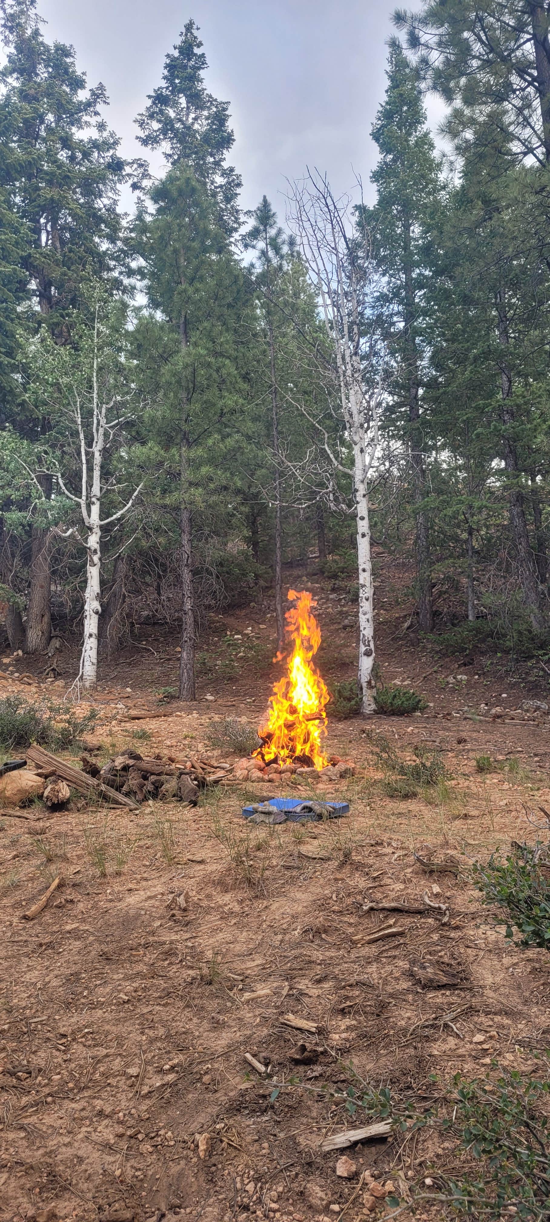 Camper-submitted photo at Mammoth Dispersed near Duck Creek Village, UT