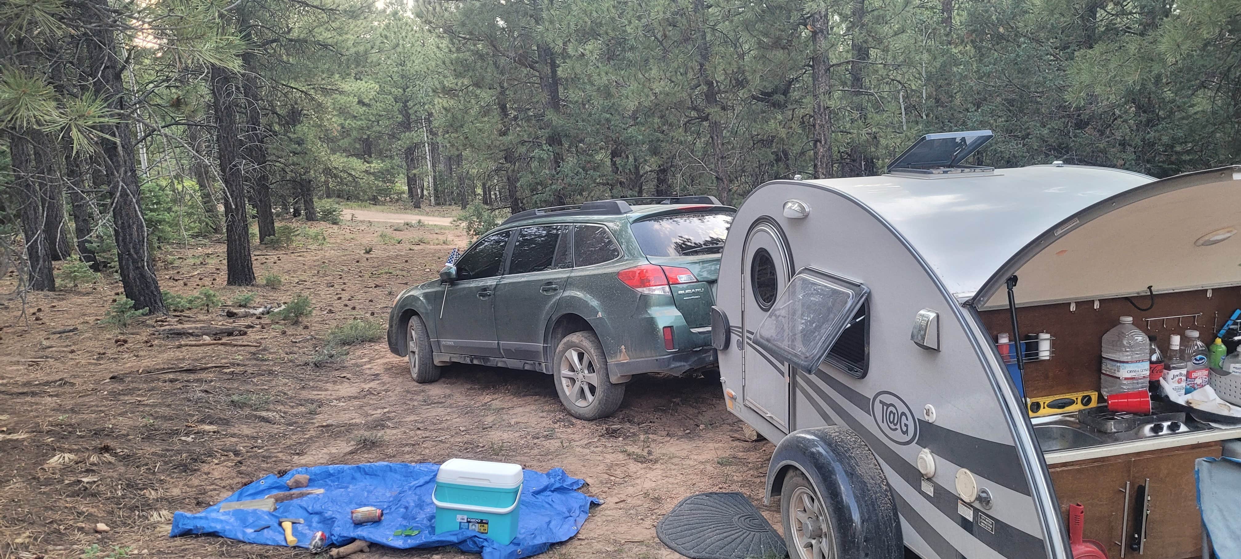 Camper-submitted photo at Mammoth Dispersed near Duck Creek Village, UT