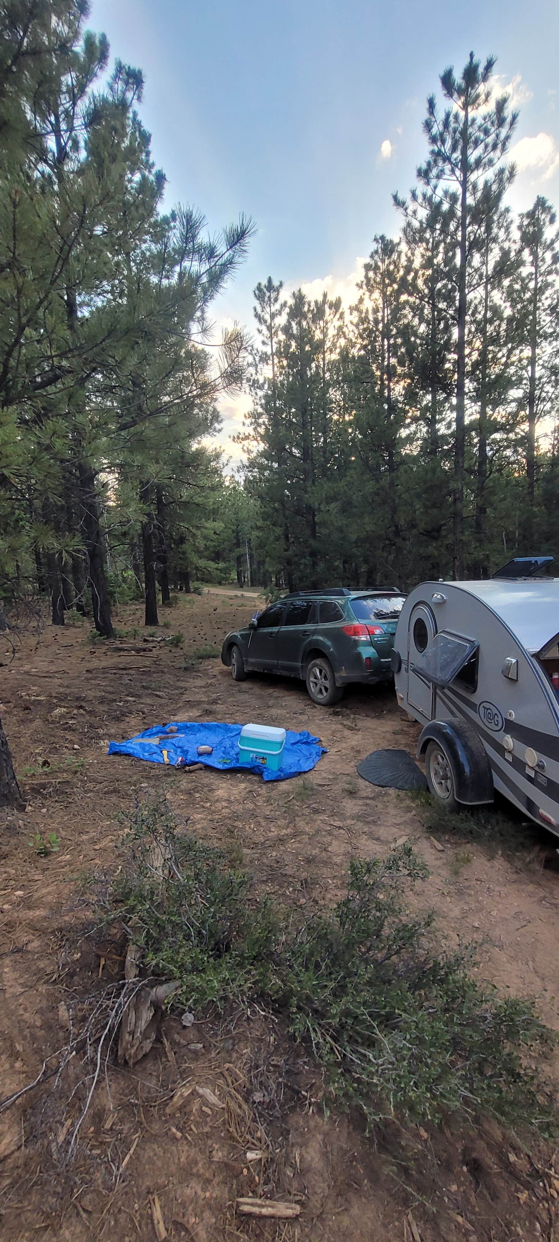 Camper-submitted photo at Mammoth Dispersed near Duck Creek Village, UT