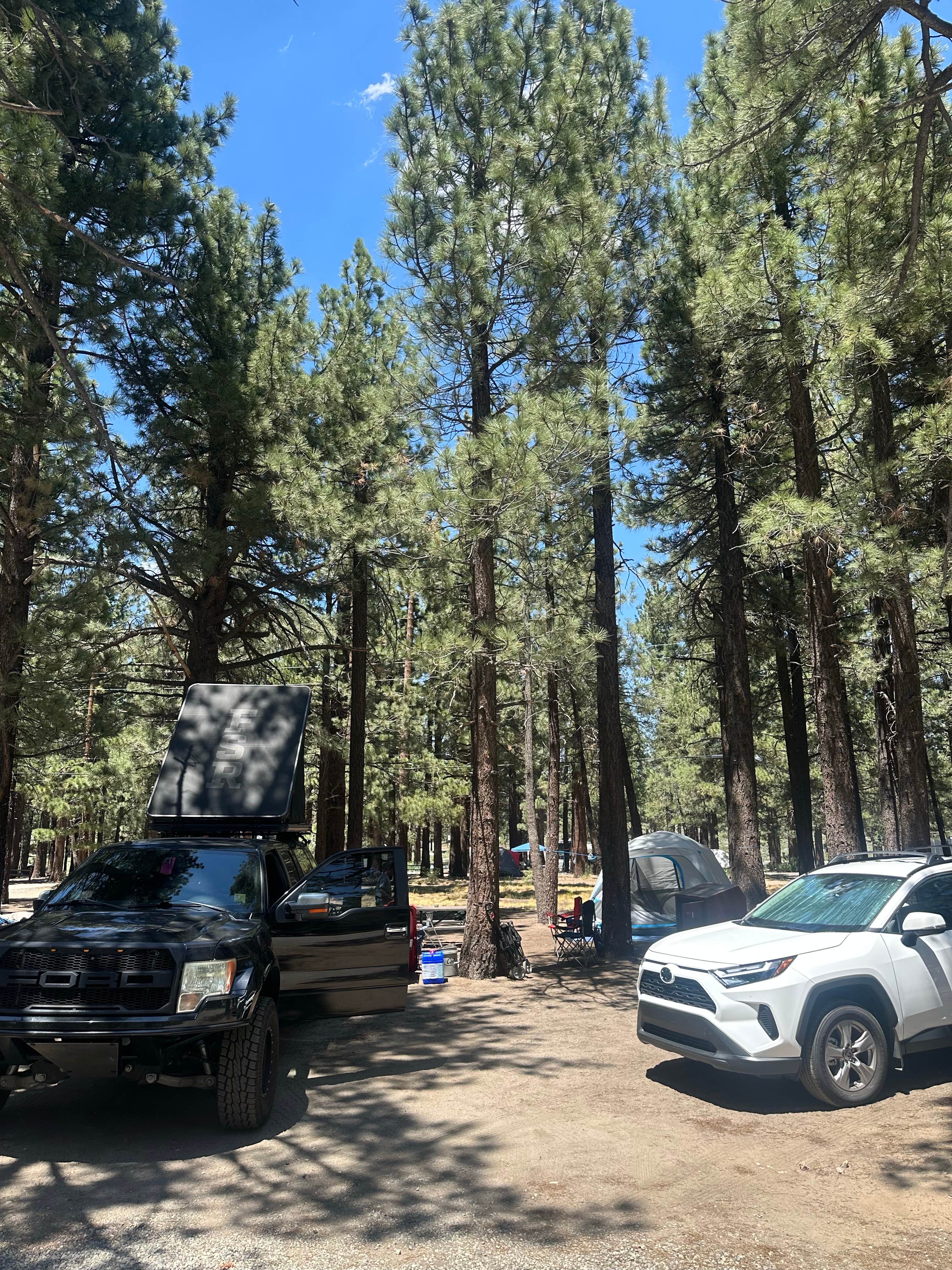 Camper-submitted photo at Mammoth Mountain RV Park & Campground near Toms Place, CA