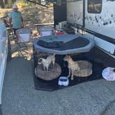Review photo of Mammoth Mountain RV Park & Campground by jaime R., August 21, 2025