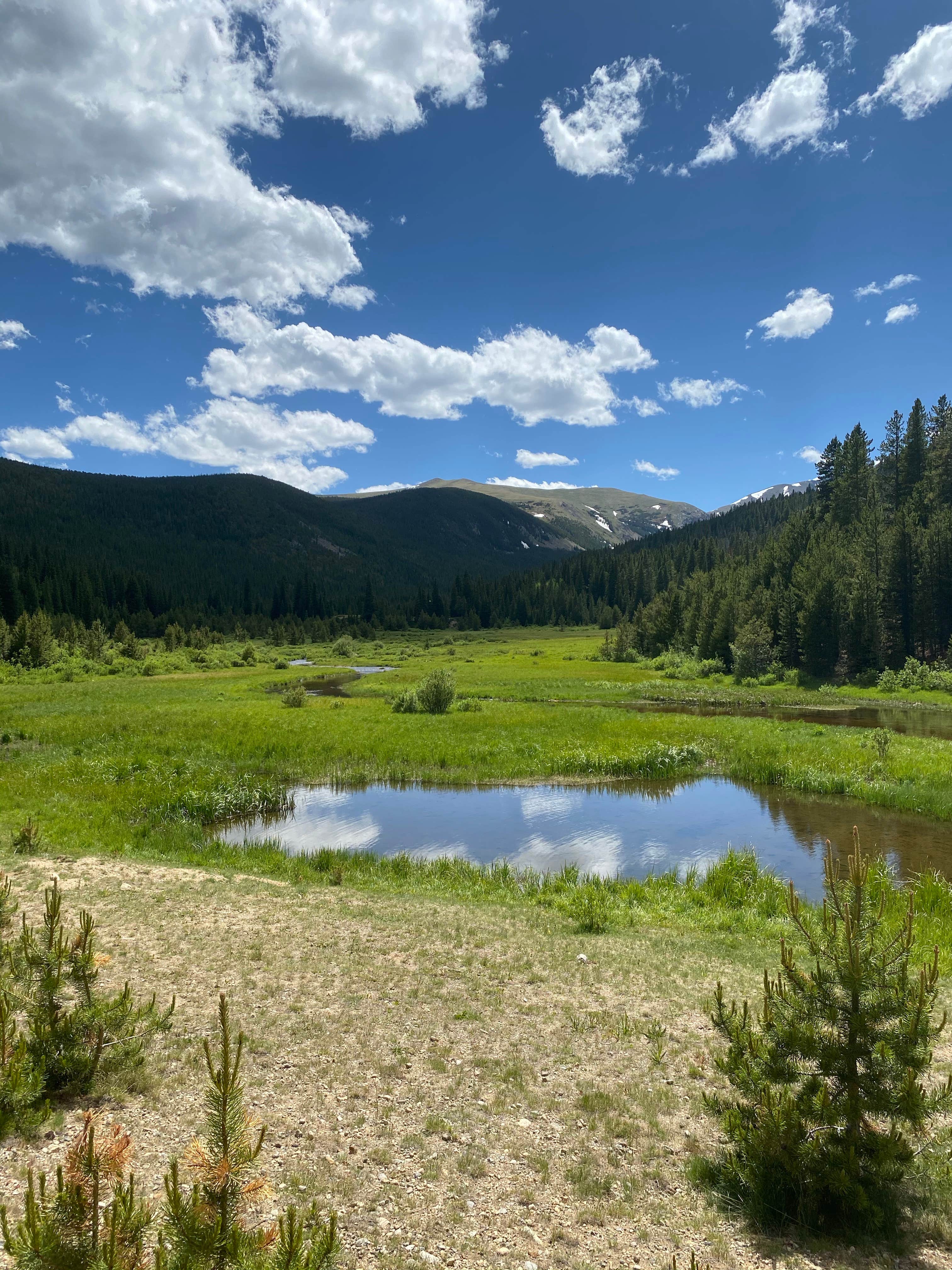 Sarah S.'s photo of a dispersed camping area at Mammoth Reservoir Dispersed near Central City, CO