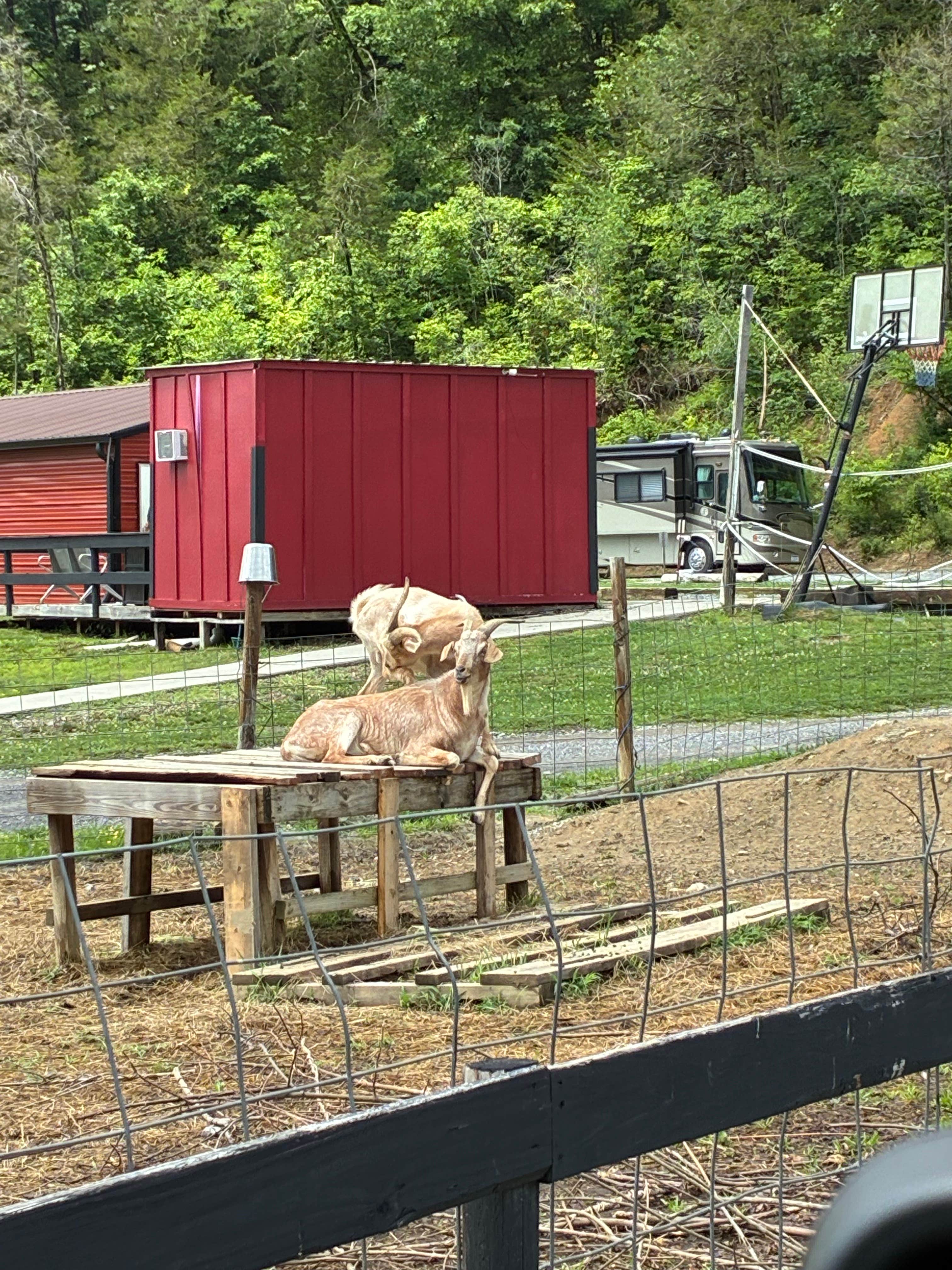 Camper-submitted photo at Mammoth Ridge RV Park near Bulls Gap, TN