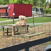 Review photo of Mammoth Ridge RV Park by Carrie S., June 29, 2026