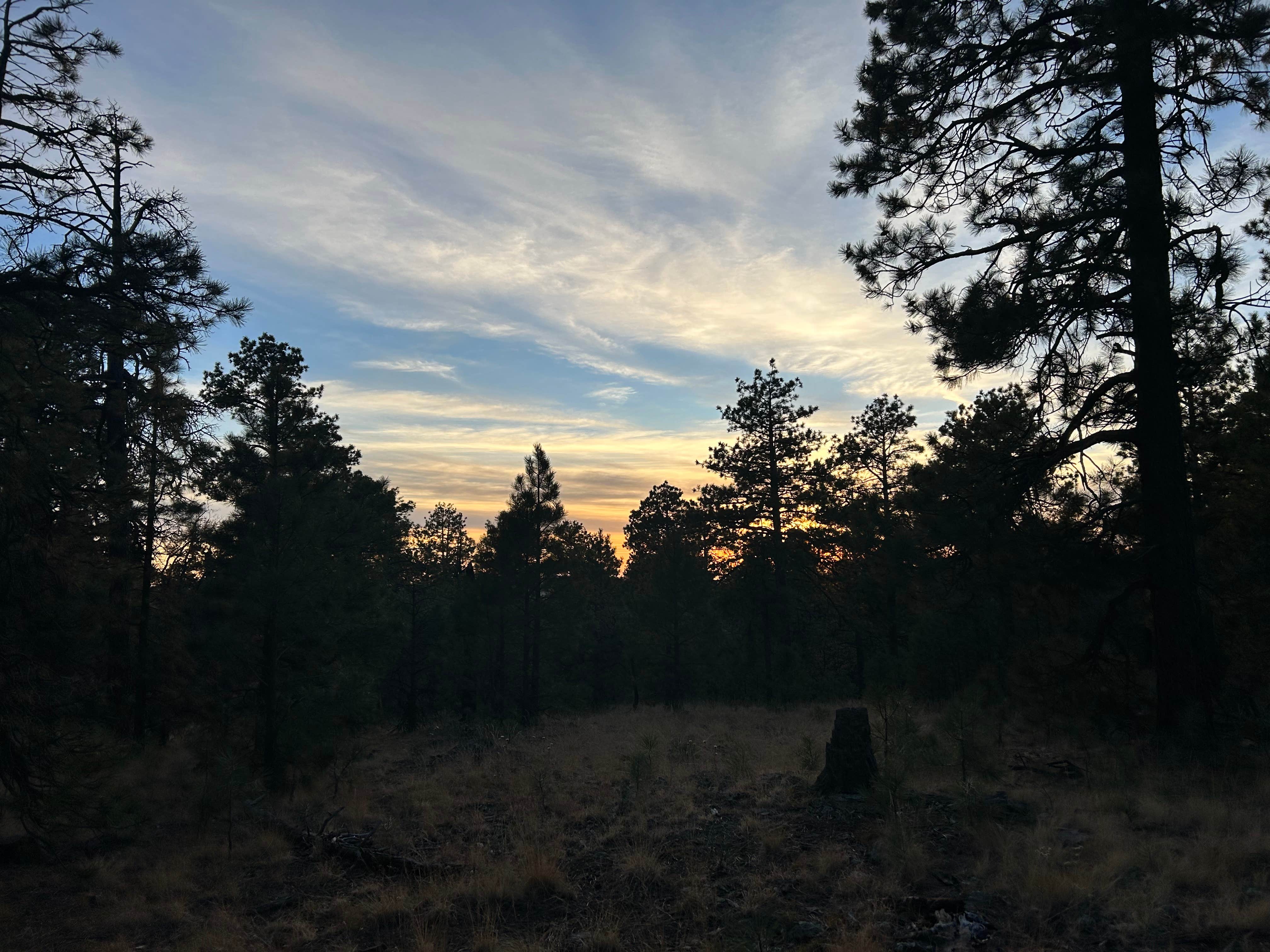 Camper-submitted photo at Manan Spring on Forest Road 135 near Happy Jack, AZ
