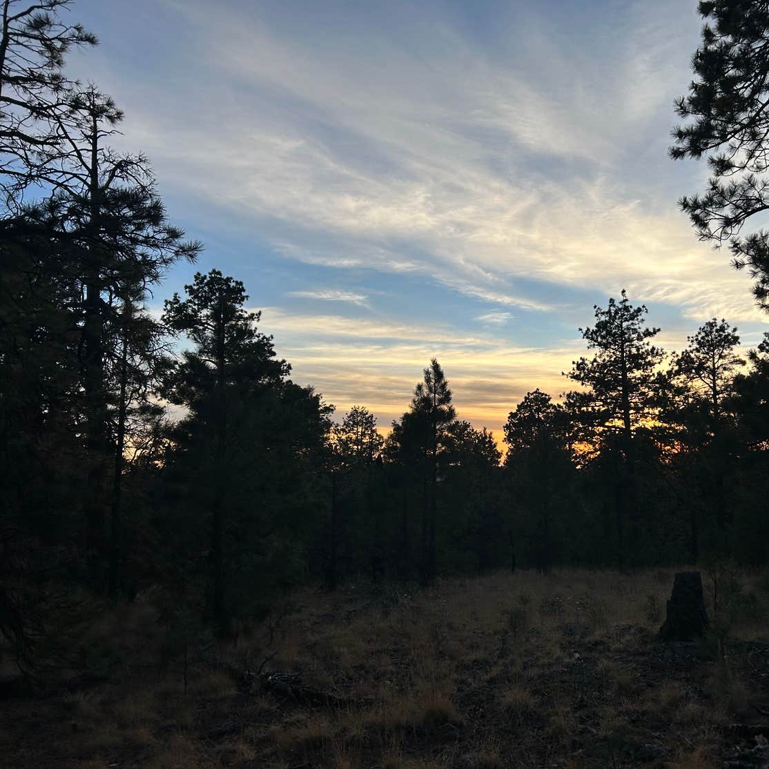 Manan Spring on Forest Road 135 Camping Happy Jack, AZ